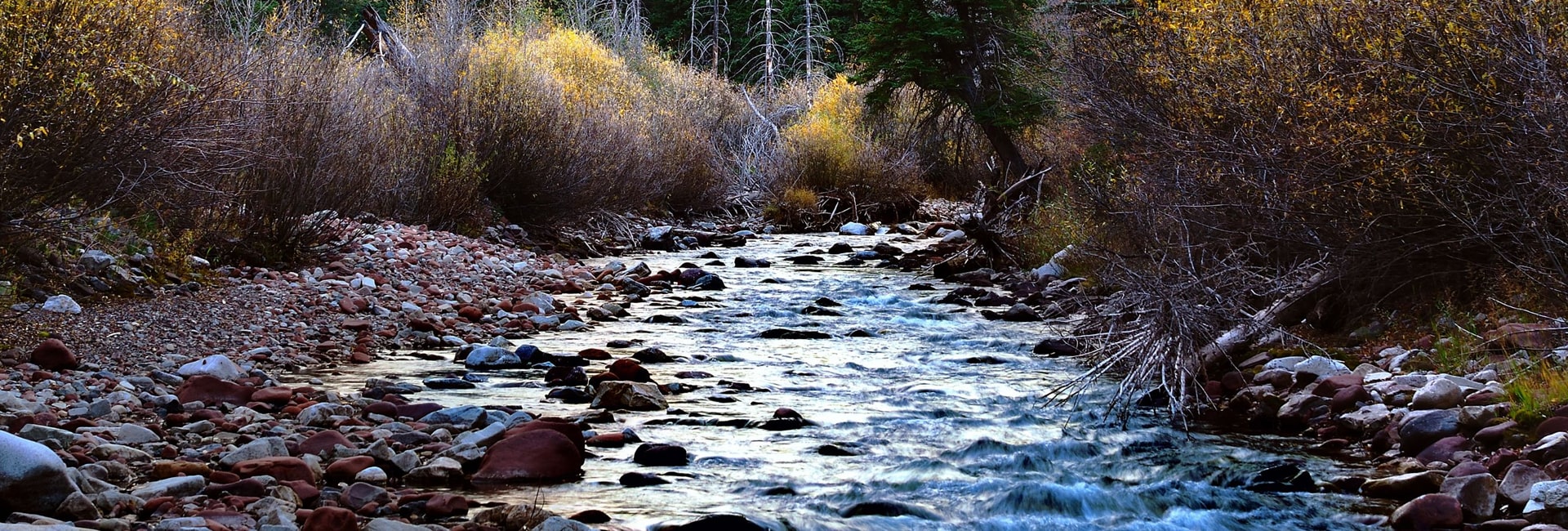 A stream flowing in nature.