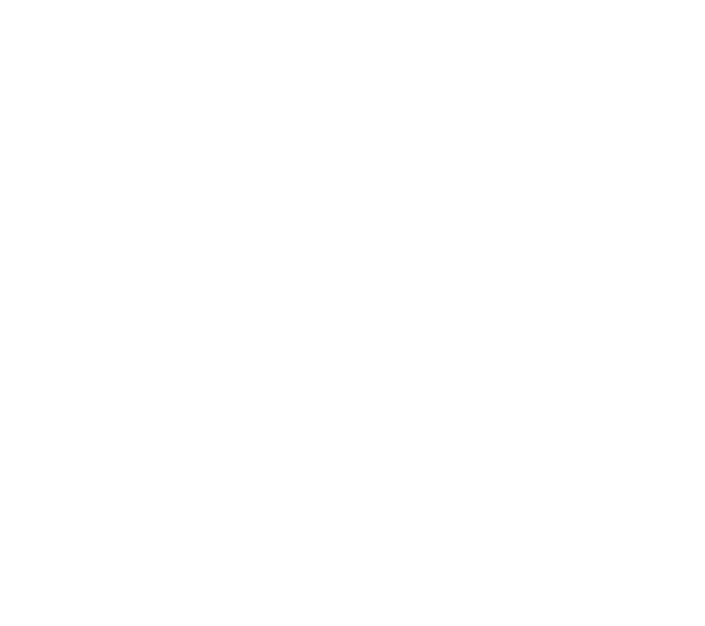 Bomba Safaris logo