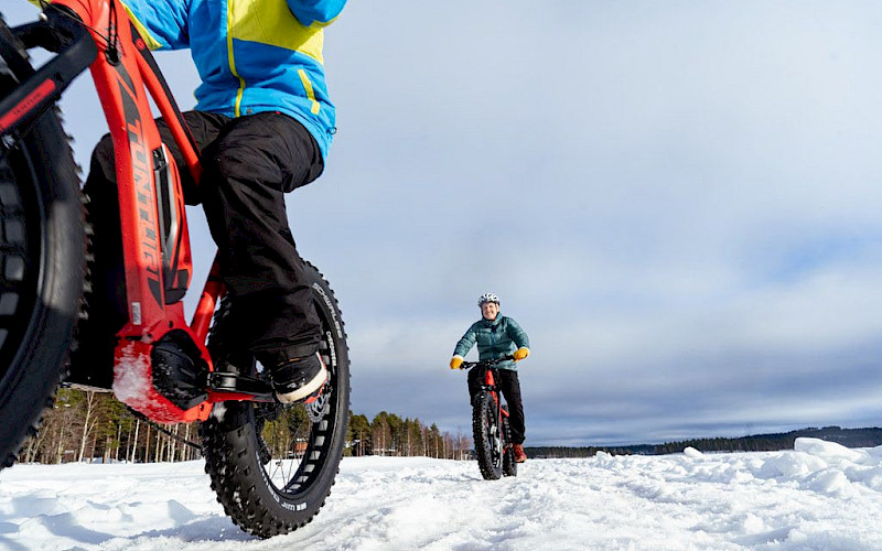 Bomba Safaris sähköfatbikella komeisiin vaaramaisemiin 1h