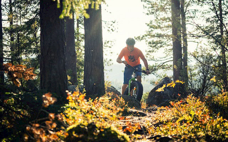 Bomba Safaris sähköfatbikella komeisiin vaaramaisemiin 1h