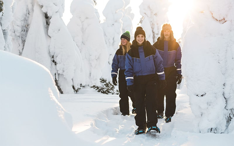 Bomba Safaris lumoava lumikenkäretki 1h