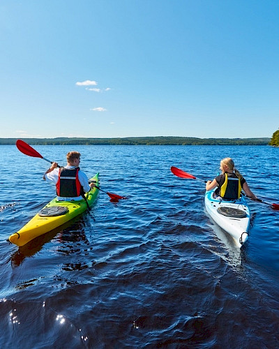 Bomba Safaris kesäkausi