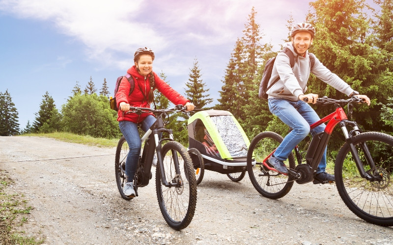 Hamax Traveller Bike Trailer