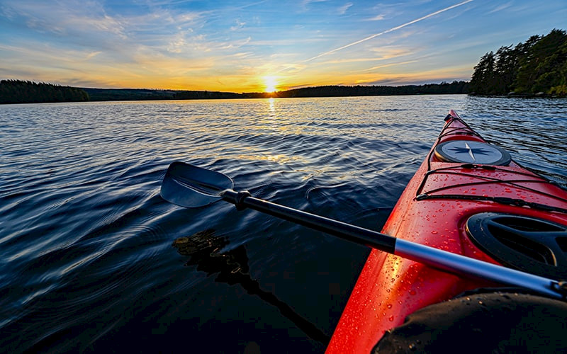 Kayak Safari on a Wilderness Lake 3h