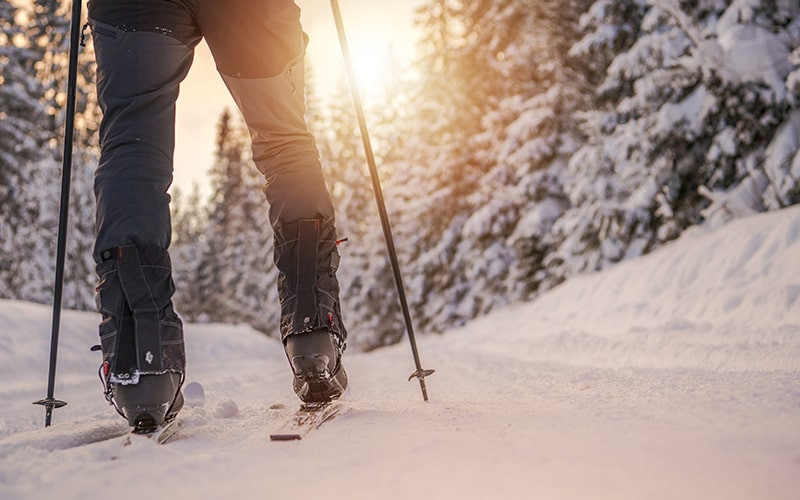 Refreshing Tour on Sliding Snowshoes 1h