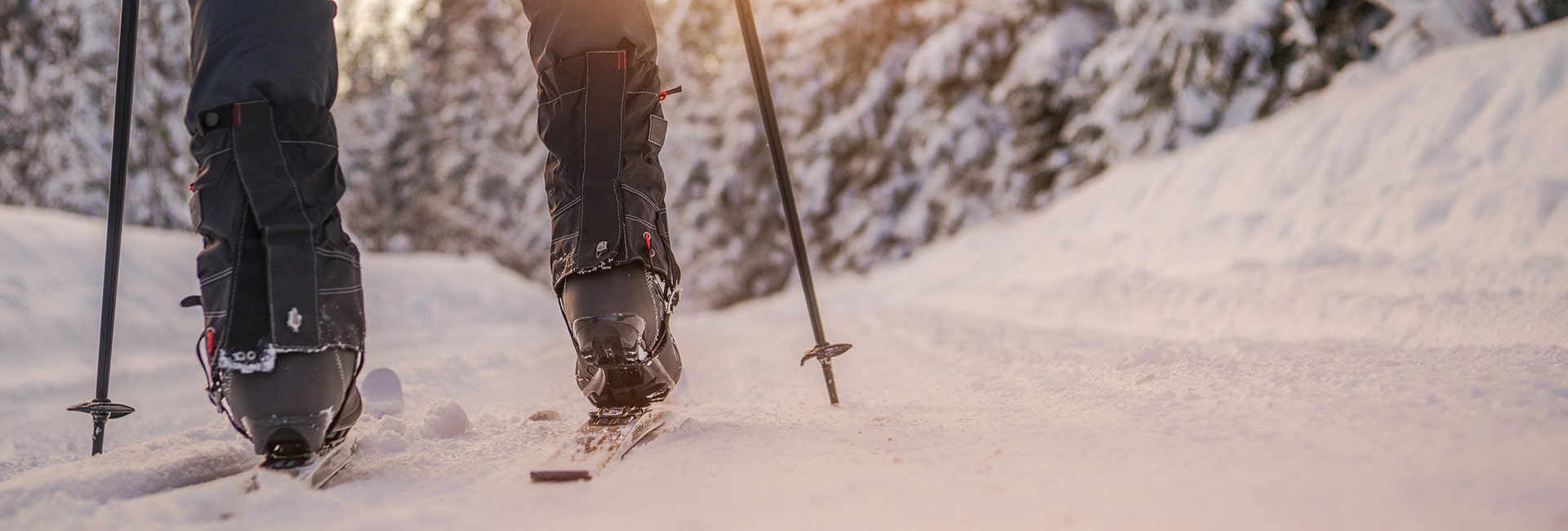 Refreshing Tour on Sliding Snowshoes 1h